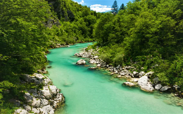 Vibrant turquoise Soča River flowing through lush green forests in Slovenia, captured in a stunning HD nature scene.