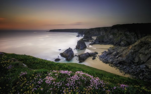 Nature Coastline Coast Beach Ocean Sea Flower Grass Sunset Horizon HD Wallpaper | Background Image