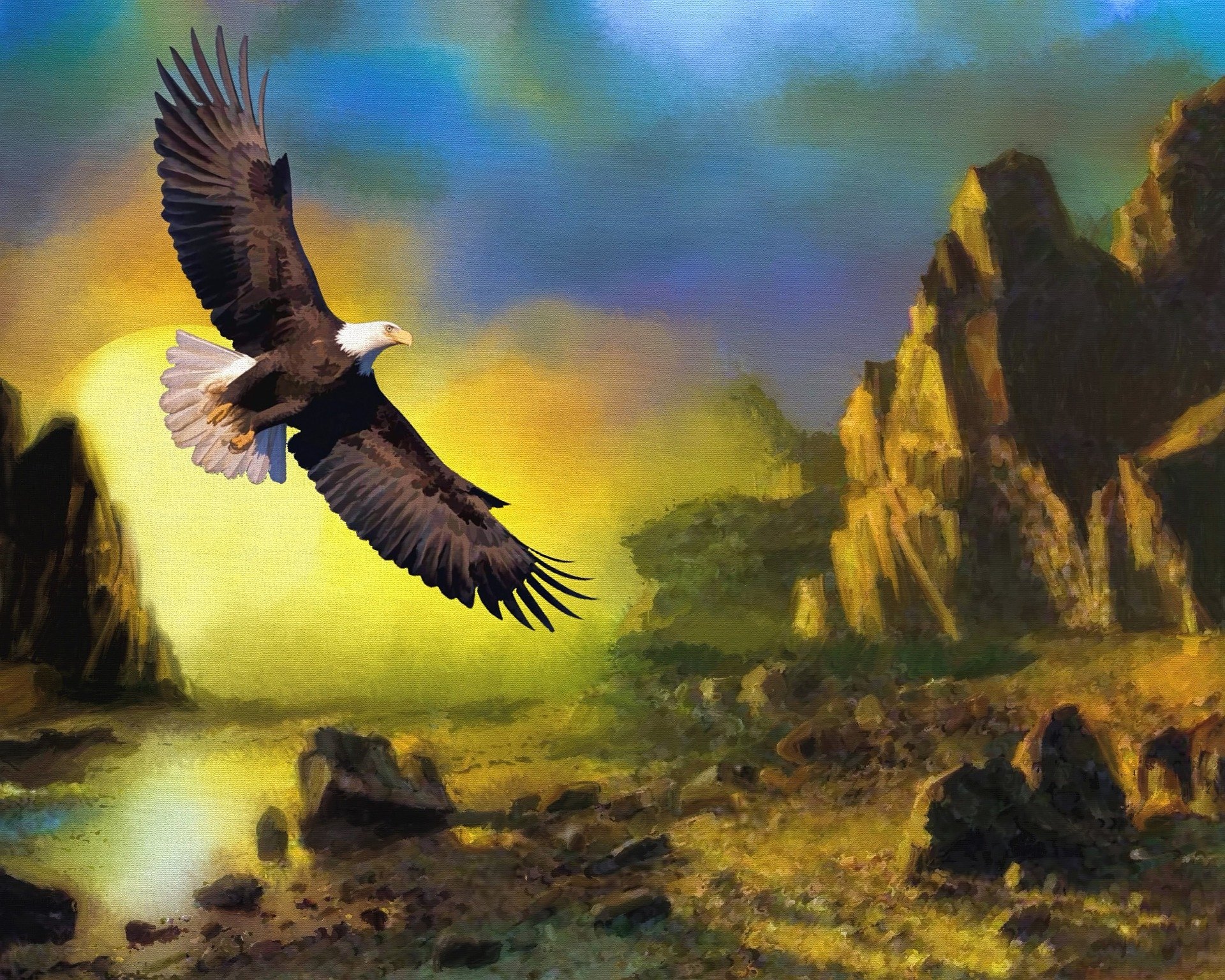 Eagle Flying Over the Landscape HD Wallpaper | Background Image