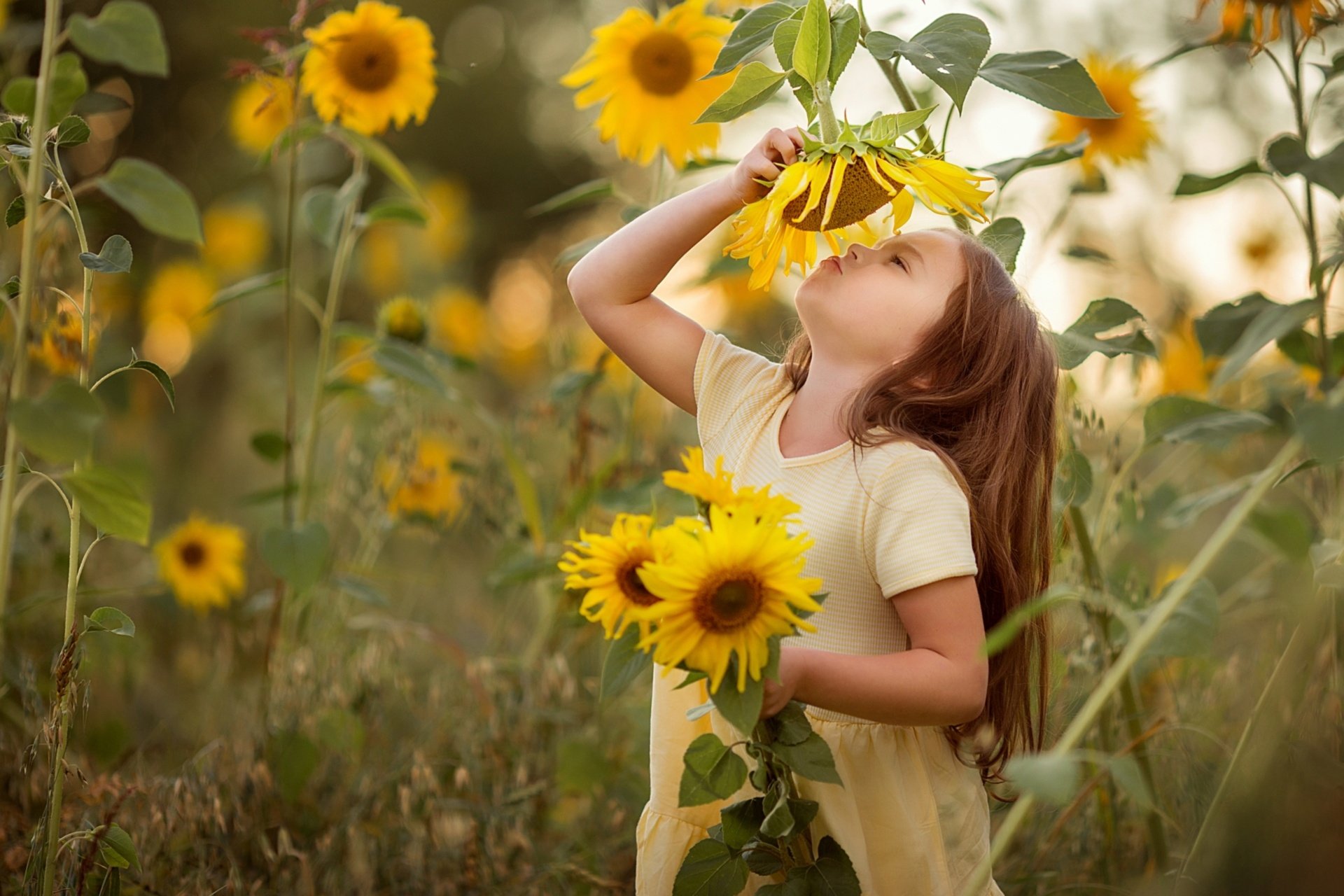 A brunette little girl in a yellow dress enjoys summer in a field of vibrant yellow flowers, captured in this HD photography desktop wallpaper.