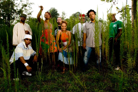 Hip Hop Arrested Development (Band) music Arrested Development HD Desktop Wallpaper | Background Image