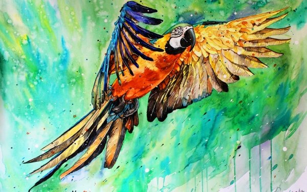 Artistic Watercolor Painting Macaw Bird Wildlife Colorful HD Wallpaper | Background Image