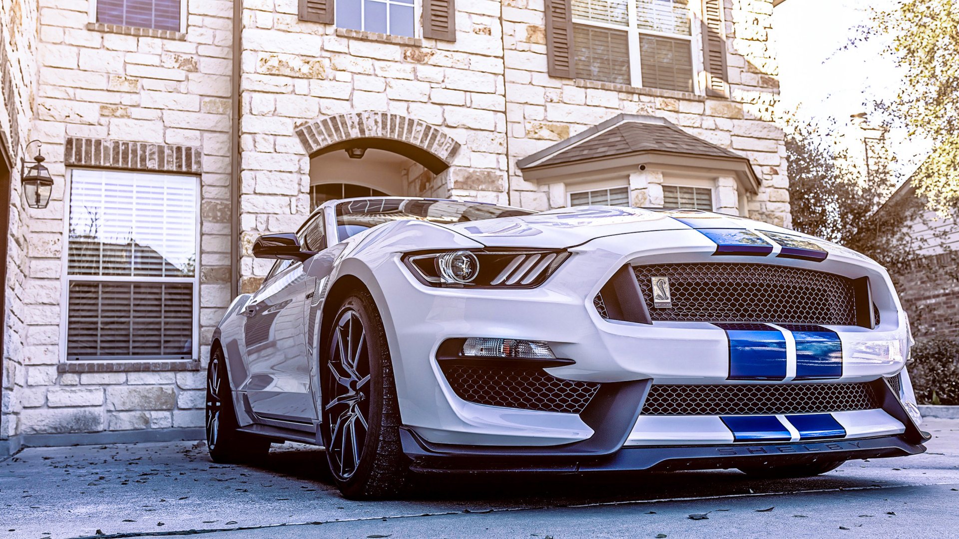 Ford Mustang Shelby GT350 picture gallery - CarWale