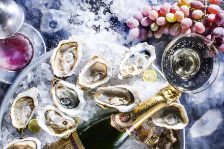mollusc grapes seafood champagne oyster food still life HD Desktop Wallpaper | Background Image