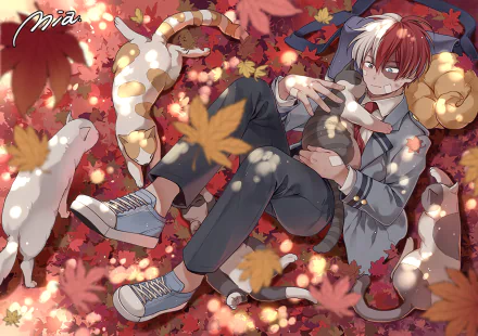 HD desktop wallpaper featuring Shoto Todoroki from My Hero Academia, surrounded by cats and autumn leaves. The colorful scene depicts Todoroki relaxing on the ground, embracing a serene moment.