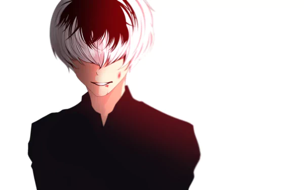 HD desktop wallpaper featuring Haise Sasaki from Tokyo Ghoul √A and Tokyo Ghoul:re. The anime character has a striking two-toned hair and a mysterious smile, set against a minimalist white background.