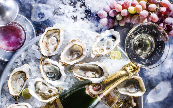 mollusc grapes seafood champagne oyster food still life HD Desktop Wallpaper | Background Image