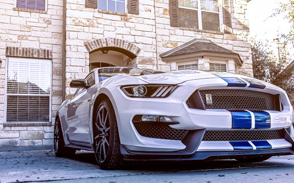 Vehicles Ford Mustang Shelby GT350 Ford Car Muscle Car Ford Mustang Shelby White Car HD Wallpaper | Background Image