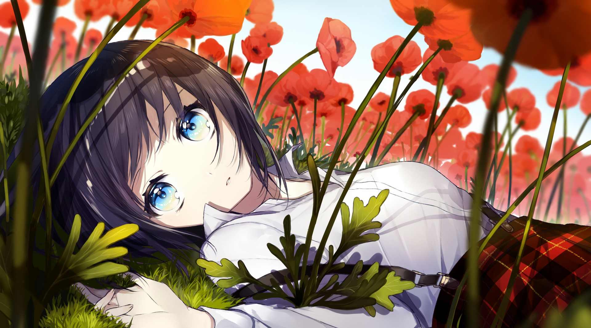 Anime-style 4K Ultra HD wallpaper of a girl with short black hair and striking blue eyes lying among vibrant red poppy flowers.