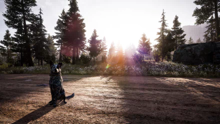 Boomer, the dog from Far Cry 5, sits on a sunlit dirt path surrounded by trees in this 4K Ultra HD PC desktop wallpaper from the Far Cry video game series.