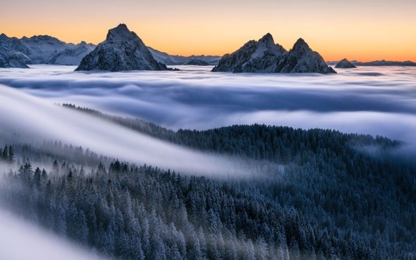 Nature Fog Mountain Landscape Forest Sunrise HD Wallpaper | Background Image