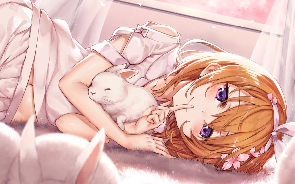 rabbit purple eyes Kokoa Hoto Anime Is the Order a Rabbit HD Desktop Wallpaper | Background Image