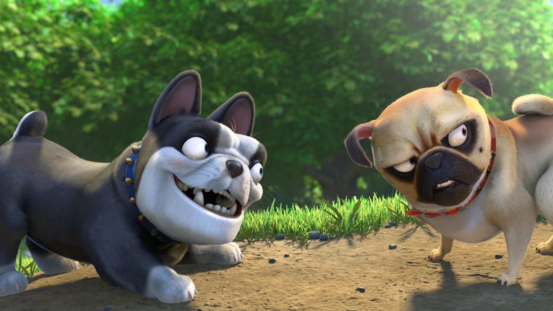 Download Movie The Nut Job 2: Nutty By Nature HD Wallpaper