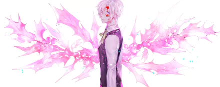 Allen Walker Anime D.Gray-man HD Desktop Wallpaper | Background Image