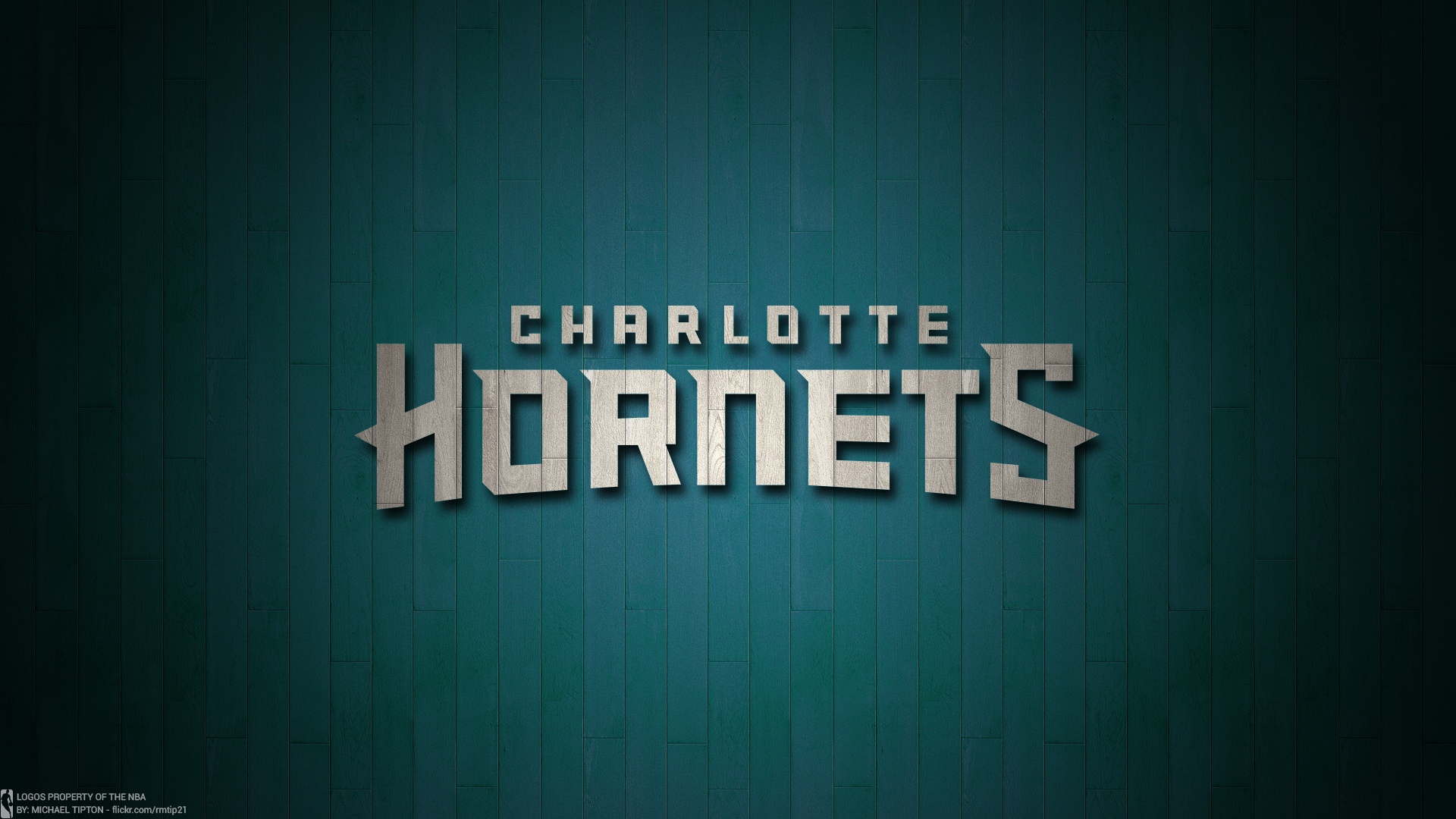 Charlotte Hornets Basketball Team by Michael Tipton