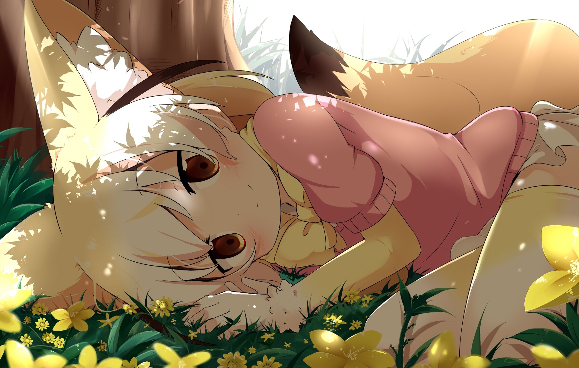 Download Fennec (Kemono Friends) Anime Kemono Friends HD Wallpaper
