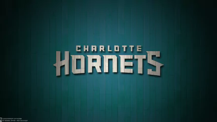  Charlotte Hornets Basketball Team by Michael Tipton
