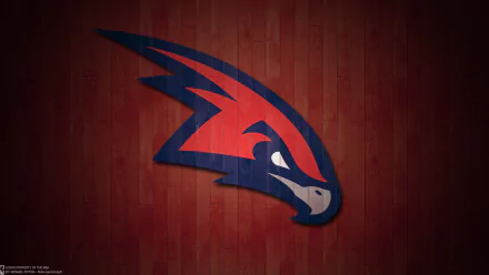  Atlanta Hawks Basketball team by Michael Tipton