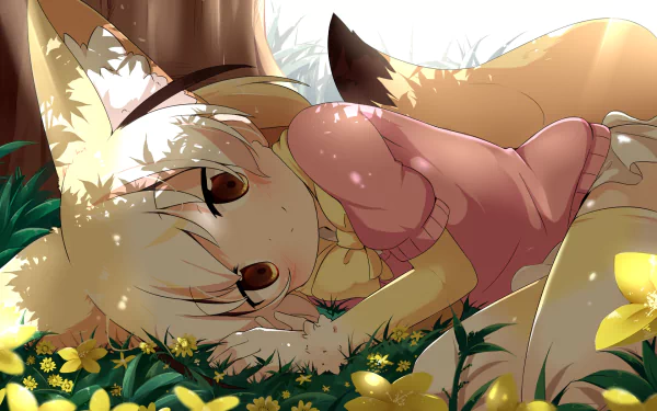Fennec (Kemono Friends) Anime Kemono Friends HD Desktop Wallpaper | Background Image