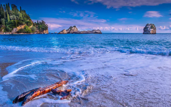 Scenic HD desktop wallpaper of a coastal ocean view featuring driftwood on a sandy shore, vibrant blue sea, and distant rocky outcrops under a partly cloudy sky.