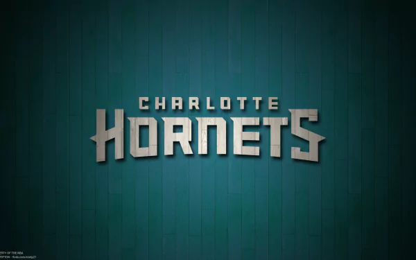 Charlotte Hornets Basketball Team by Michael Tipton