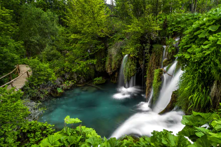 walkway lake greenery nature waterfall HD Desktop Wallpaper | Background Image