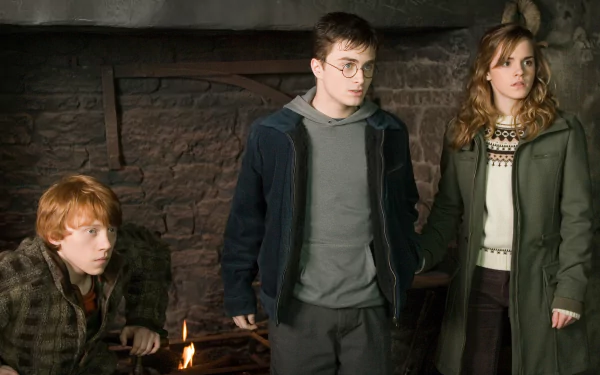 Hermione Granger Ron Weasley Harry Potter movie Harry Potter and the Order of the Phoenix HD Desktop Wallpaper | Background Image