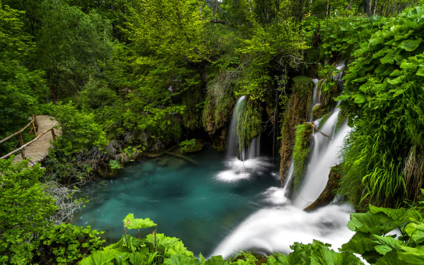 walkway lake greenery nature waterfall HD Desktop Wallpaper | Background Image