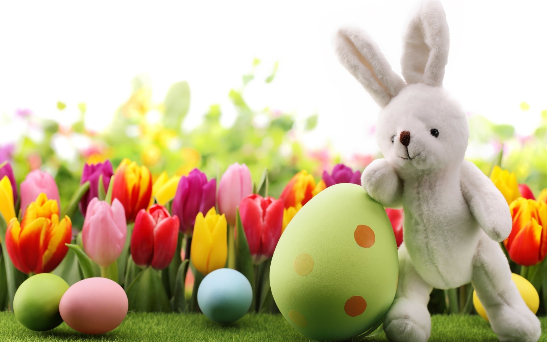 Holiday Easter HD Wallpaper