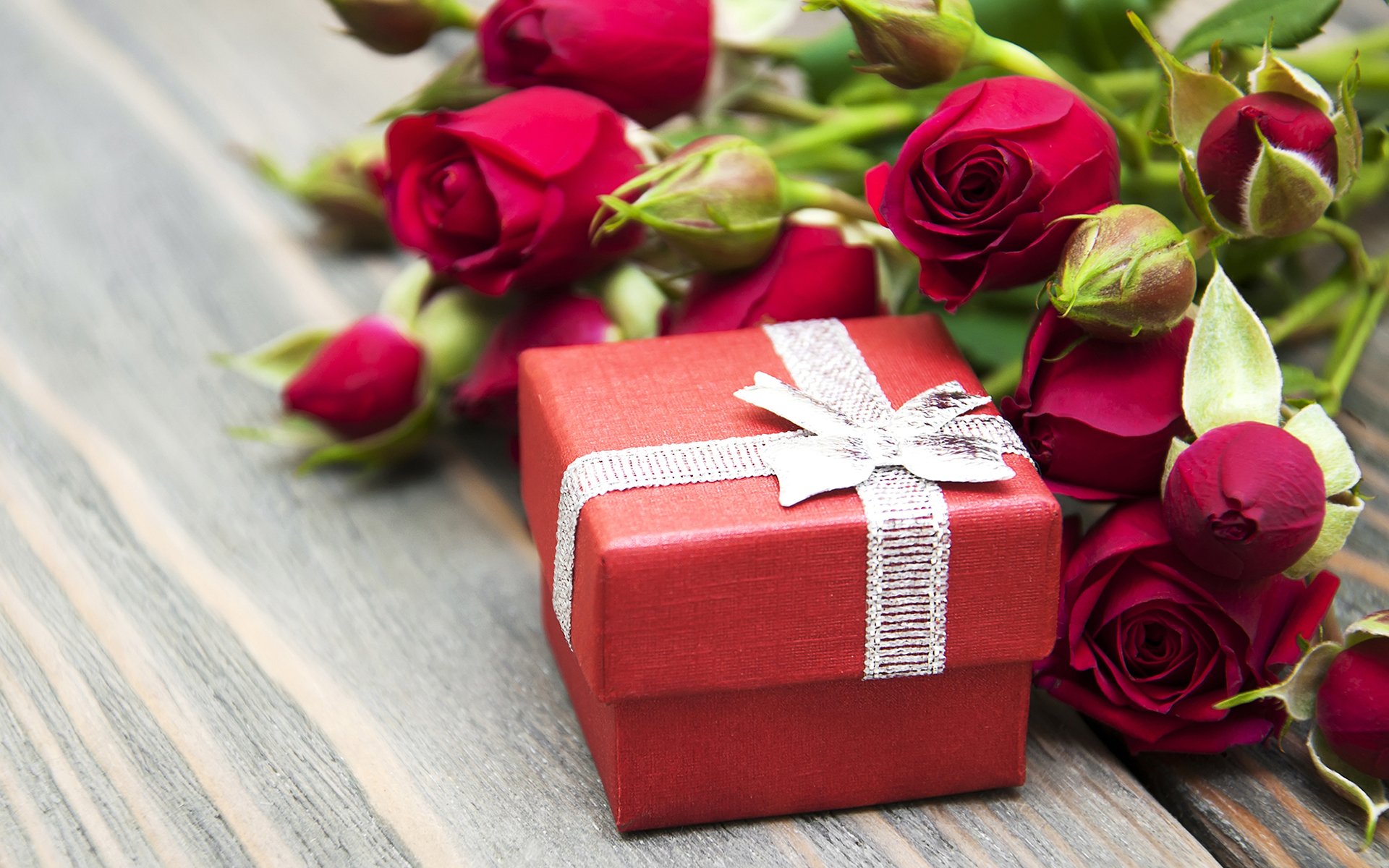 Download Rose Gift Holiday Valentine's Day HD Wallpaper