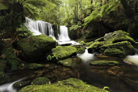  Waterfall in Rainforest