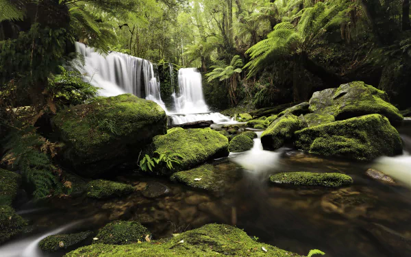  Waterfall in Rainforest