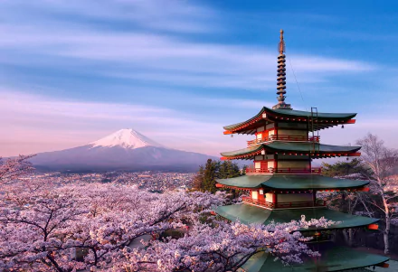 HD desktop wallpaper featuring a Japanese pagoda surrounded by pink sakura flowers, with the majestic Mount Fuji in the background under a clear blue sky.