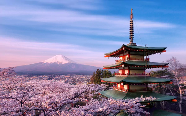 HD desktop wallpaper featuring a Japanese pagoda surrounded by pink sakura flowers, with the majestic Mount Fuji in the background under a clear blue sky.