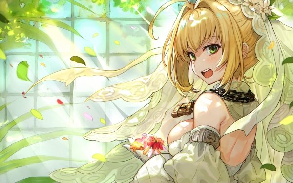 Anime Fate/Grand Order Fate Series Nero Claudius HD Wallpaper | Background Image