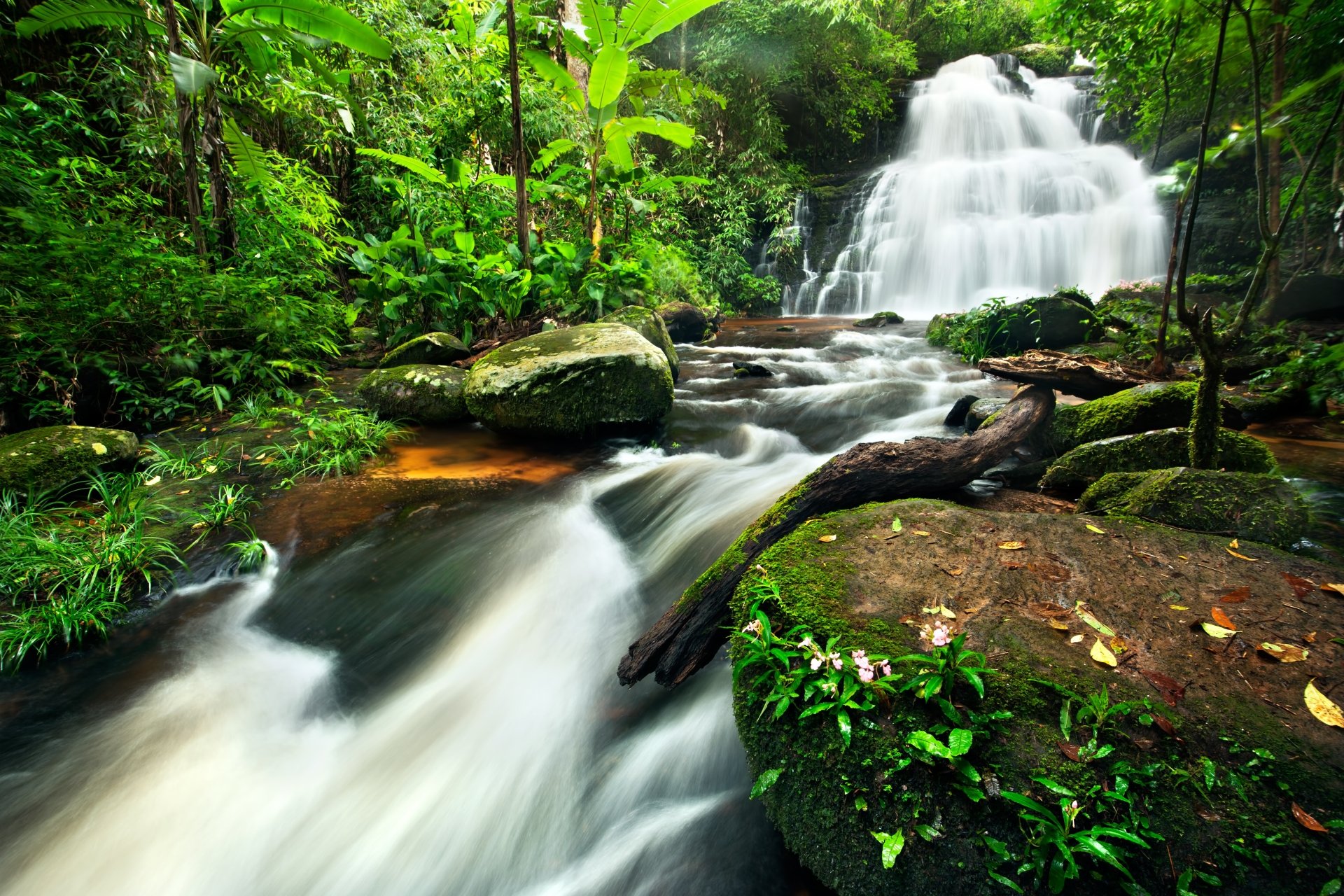 Download River Greenery Nature Waterfall 4k Ultra HD Wallpaper