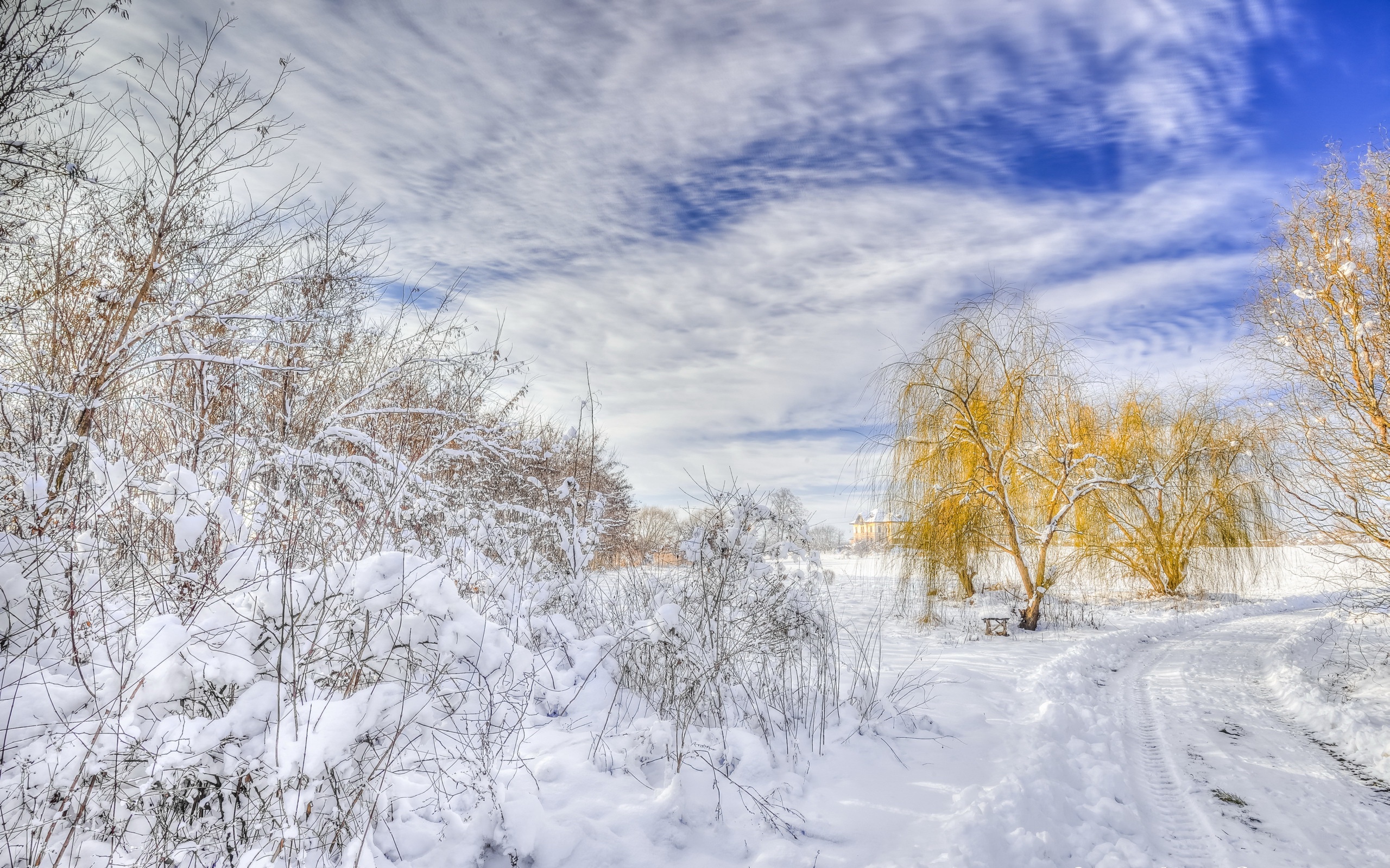 Nature Winter HD Wallpaper | Background Image