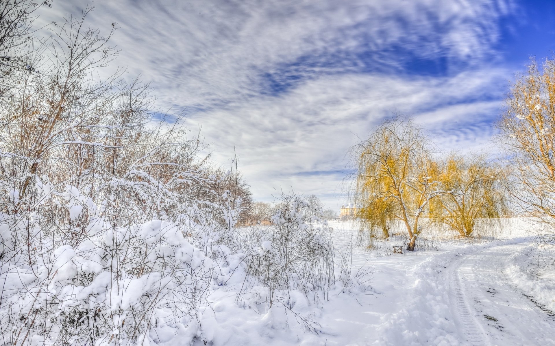 HD desktop wallpaper showing a snowy winter landscape with frosted bushes and golden-leaved trees under a partly cloudy sky.