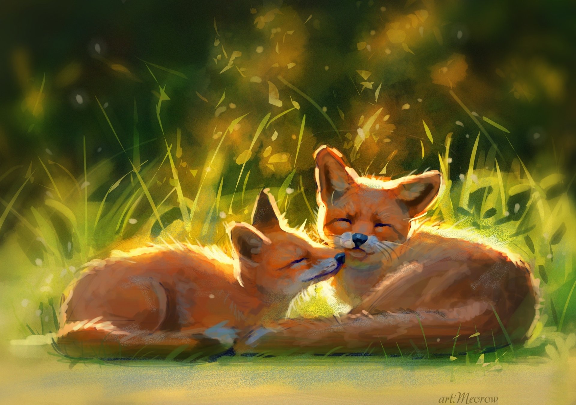 Fox HD Wallpaper | Background Image | 1944x1368 | ID:931372 - Wallpaper