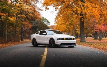 154 4K Ultra HD Ford Mustang Wallpapers | Background Images - Wallpaper