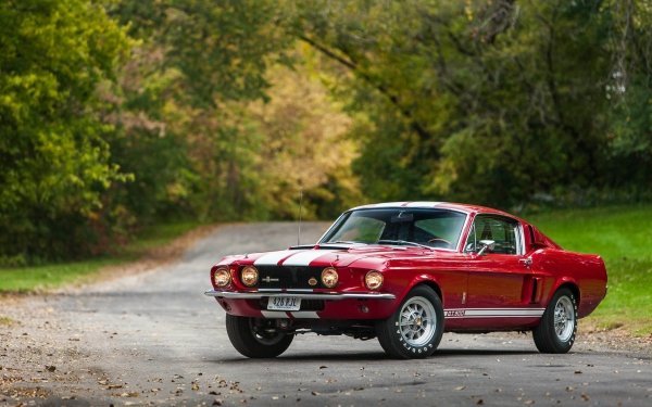 1968 Shelby GT500 Wallpaper and Background Image | 1600x1200 | ID ...