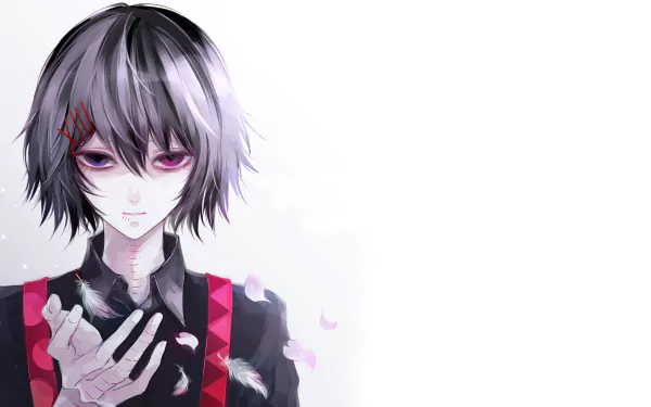 HD desktop wallpaper featuring Juuzou Suzuya from Tokyo Ghoul:re, with grey hair, heterochromia (purple and pink eyes), holding feathers, and a blank white background.