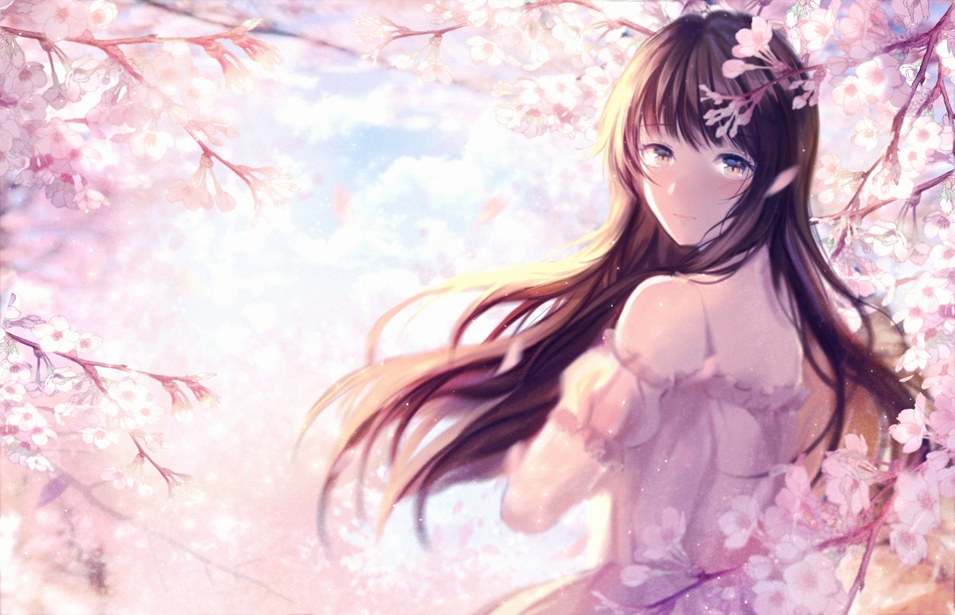 Download Yellow Eyes Blush Cherry Blossom Brown Hair Long Hair Anime Original HD Wallpaper by 罂粟酱