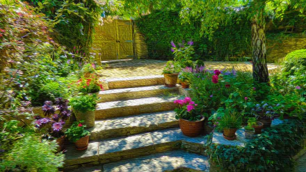  Sunny Patio - Oil on Canvas