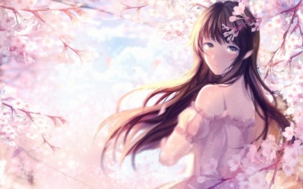 Anime Original Long Hair Brown Hair Cherry Blossom Blush Yellow Eyes HD Wallpaper | Background Image