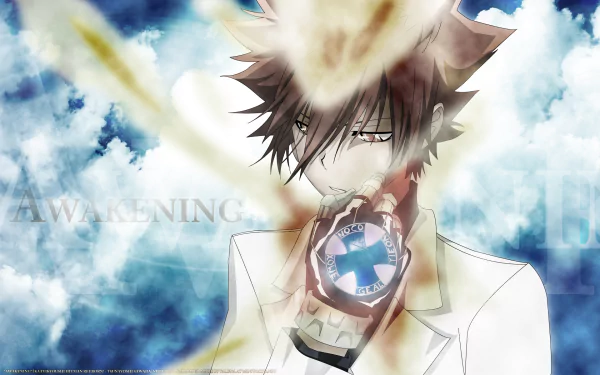 HD anime wallpaper featuring Tsunayoshi Sawada from Katekyō Hitman Reborn! with brown hair, wearing a glove, against a bright, cloudy sky background.