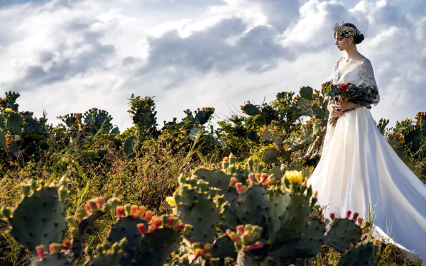 Brunette bride in a flowing white wedding dress stands amidst blooming cacti under a dramatic sky, captured in a 4K Ultra HD desktop wallpaper.