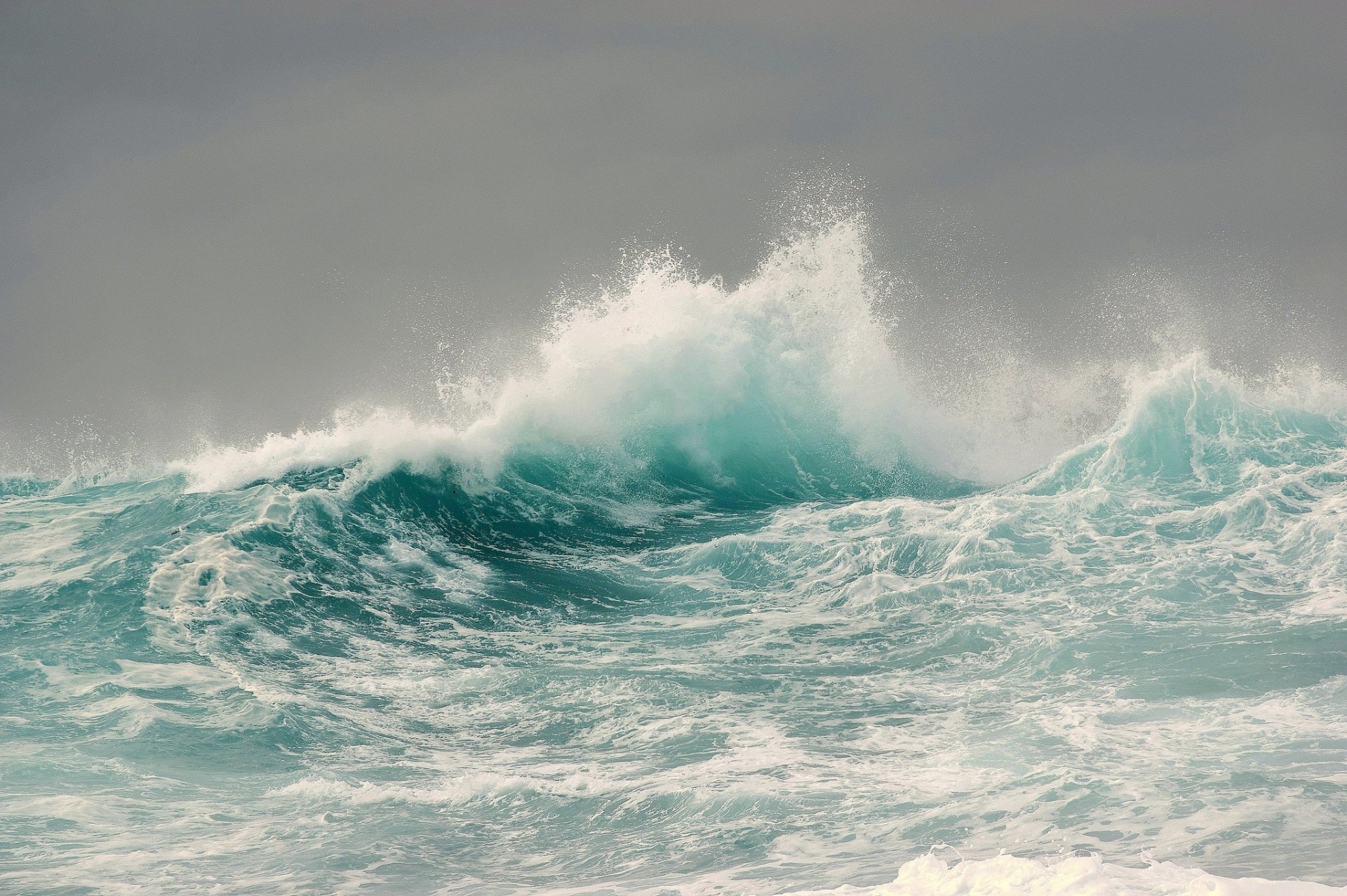 HD desktop wallpaper and background featuring a powerful wave crashing in the sea, capturing the dynamic essence of nature.