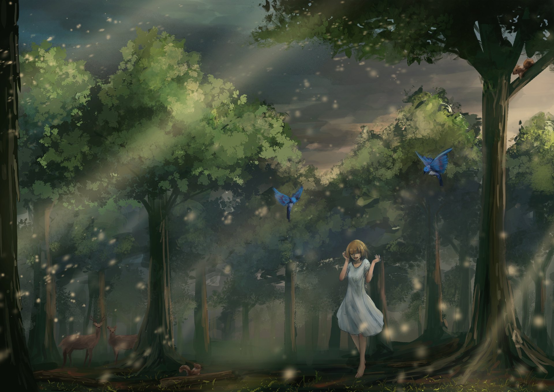 Download Bird Forest Dress Anime Original Anime Forest Anime Bird HD Wallpaper