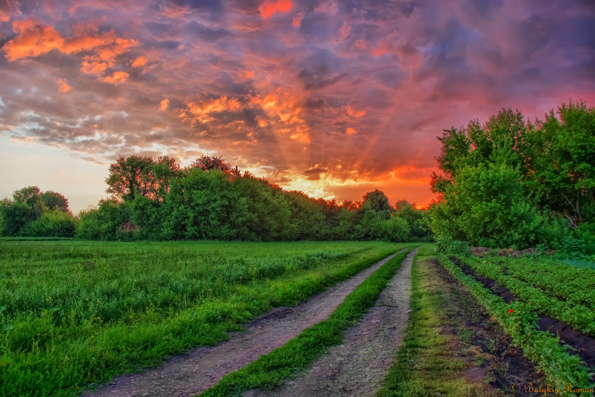 Sunset Pathway: 4K Ultra HD Nature Escape by Vergilius | 6000x4000 ...